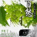 FPX 百態煙彈：圖片 16